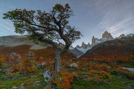 公园LosGlaciares公园中FitzRoy山在日落时的景象图片