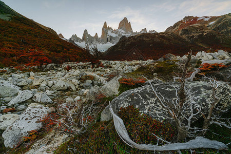 公园LosGlaciares公园中FitzRoy山在日落时的景象图片