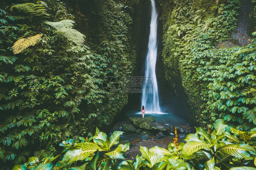 绿色森林中高热带瀑布的风景图片