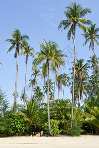泰国KohKood岛蓝阳光明媚的天空中图片