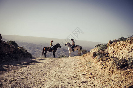 夫妇的马和骑手男人和女人在大自然农村相爱现代牛仔和女牛仔在山区休闲活动中的自由和另类背景图片