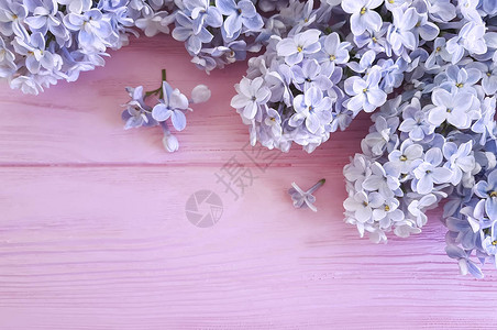 粉红色木头上的丁香花图片