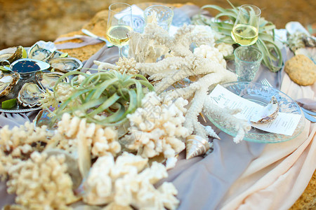 装饰餐桌布餐厅检查阿洛和珊瑚板上的浮壳图片