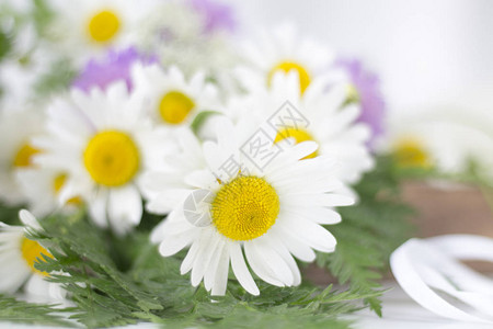 美丽的小菊花和白桌图片