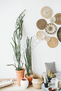 现代简约家居室内设计枕头金色茶壶装饰稻草盘斯堪的纳维亚毯子多肉图片