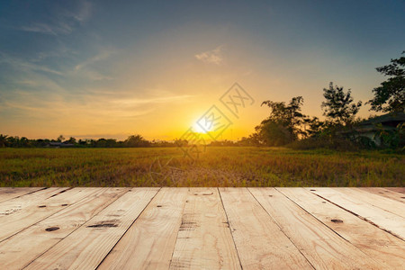 空木桌顶端并显示背景日落背景图片