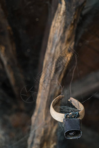 旧农舍天花板上挂着蜘蛛网的传统古老原始牛颈铃图片