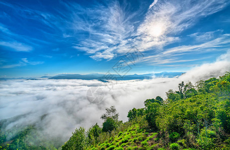 风云的晨雾笼罩着山谷就像飘浮在越南达拉特高原图片