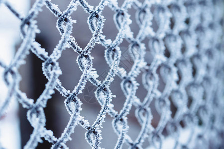 冬天结霜的金属丝网图片