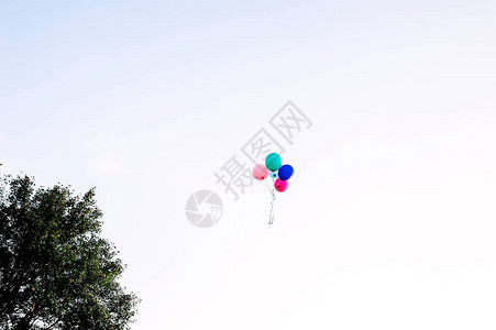 五颜六色的气球分支在空中飞翔图片