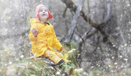 蹒跚学步的孩子们在秋天的公园里散步秋林初霜雪孩子们在公园背景图片