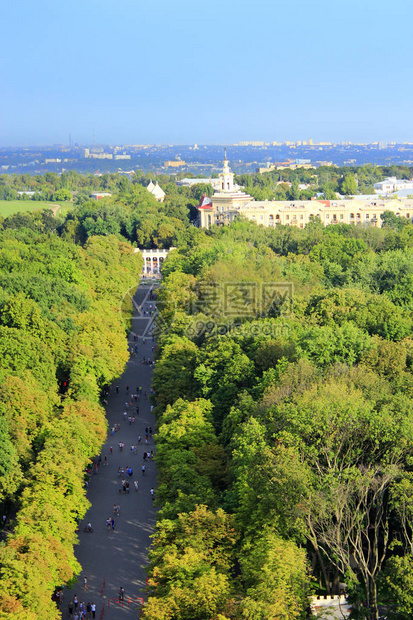 鸟瞰城市公园的景色图片