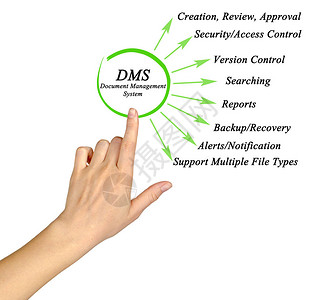 文件管理系统DMS图片