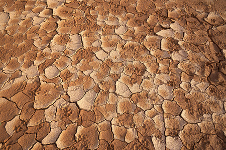 地面细节土壤中的裂缝由于土壤中水分不足图片