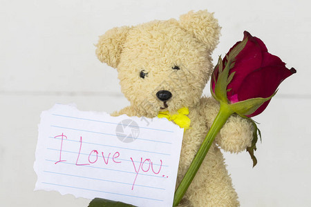我喜欢你的留言卡泰迪熊和红玫瑰花在背图片