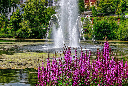 德国黑森温泉公园有喷泉池的照片池BadSchw图片