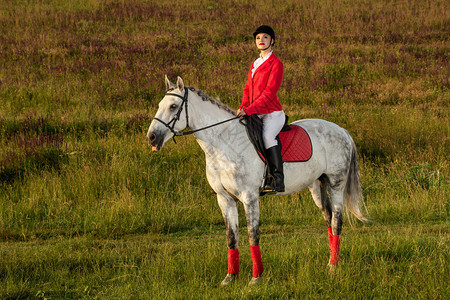 骑马的女运动员一匹红马上的女骑士马术骑马比赛图片
