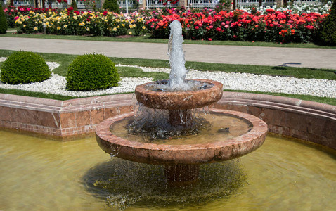 玫瑰园喷泉出的水图片
