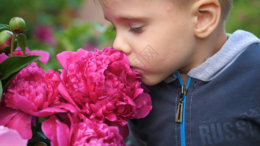 牡丹花蕾绽放一个小可爱的宝轻地享受着花香孩子拿起一朵花图片