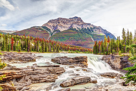 Athabasca瀑布秋色图片