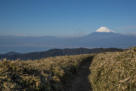 冬季在静冈省富士山和素鲁加湾图片