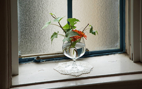 橱窗花瓶上的花卉场景背景图片