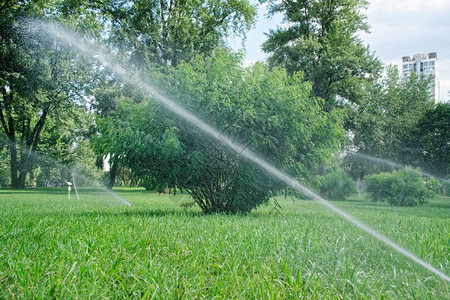 喷水系统在公园浇草溅水图片