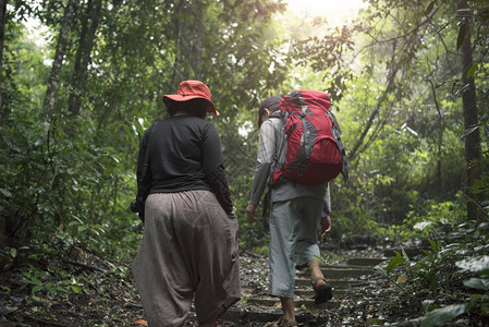 雨林丛的探险集团冒险和图片