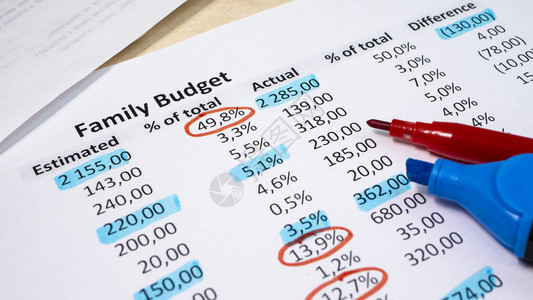 分析每月收入和支出家庭预图片