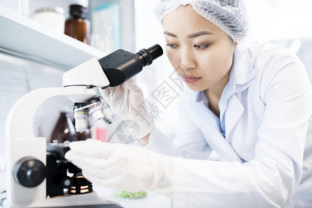 亚洲女科学家在医学实验室研究时用显微图片