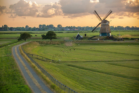 荷兰传统风力车Ho图片