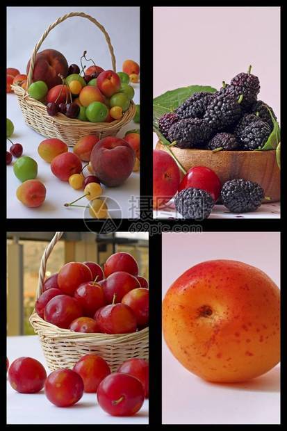 各种水果如李子杏子草莓甜瓜图片