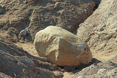 沙堆中的大石头图片