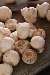 新鲜未煮过的白蘑菇图片