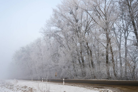 城外冬季雾冬天在大雾中风霜下沿雪覆图片