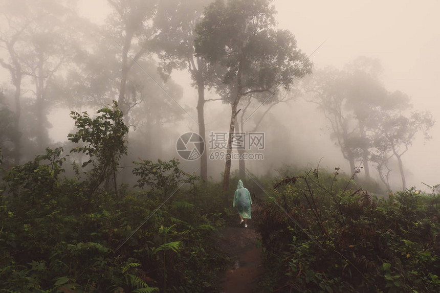 穿着雨衣的女人站在雾中的雨林中图片