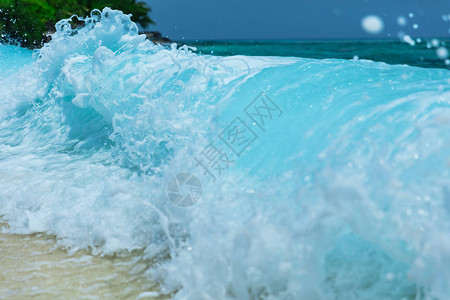 马尔代夫热带海滩上爆图片