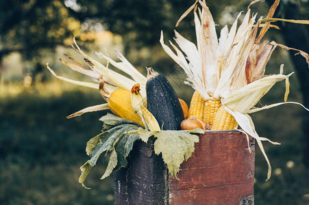 秋收农场蔬菜和块根作物的木箱健康和有机食品背景健康食品新图片
