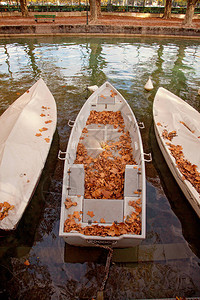 船在秋天落叶的渠道金秋时节图片