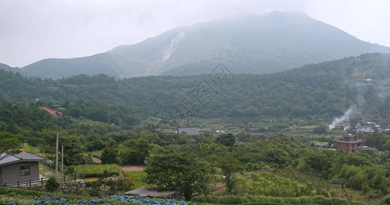 台北阳明山的景图片