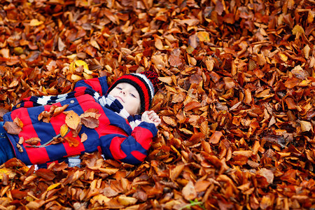 快乐可爱的小孩男与秋天的肖像在五颜六色的衣服中留下背景图片