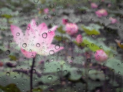 玻璃底部有近距离的雨滴图片