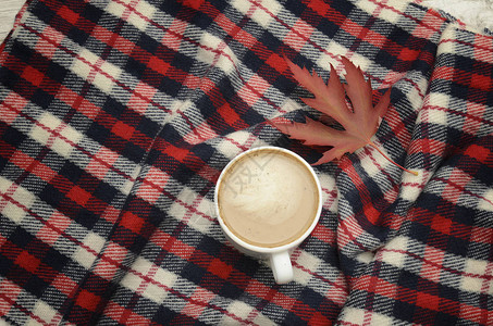 Capppuccino在彩格秋叶和秋叶图片