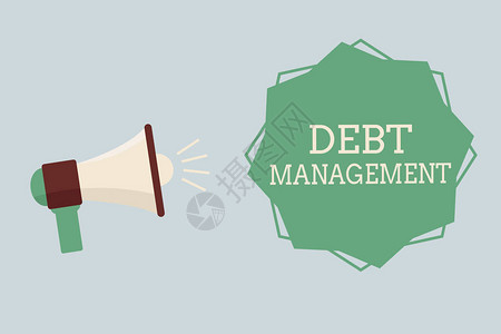 文字书写文本债务管理债务人和债权人之间的正式协图片