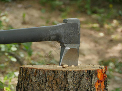 伐木工用砍木头图片