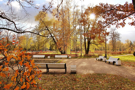 秋天城市公园白色长椅阳图片