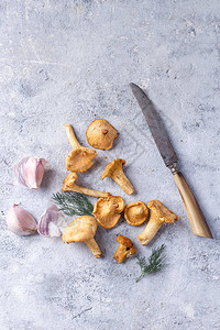 用刀莳萝和大蒜手工采摘的鸡油菌顶视图图片