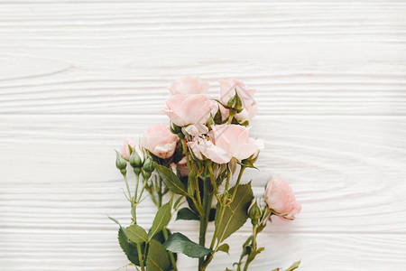 木制背景上的粉红小玫瑰图片