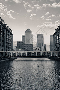伦敦金丝雀码头商业区图片