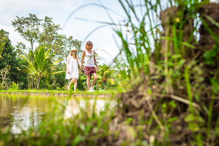 年轻蜜月夫妇在稻田之间散步图片